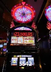 Ofertas Exclusivas 5542